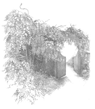 Drawing of Garden Gate
