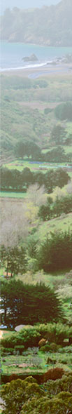 Sidebar: Image of Green Gulch Farm