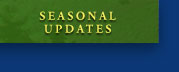 Seasonal Updates