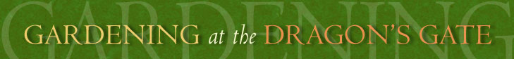 Gardening at the Dragon's GAte